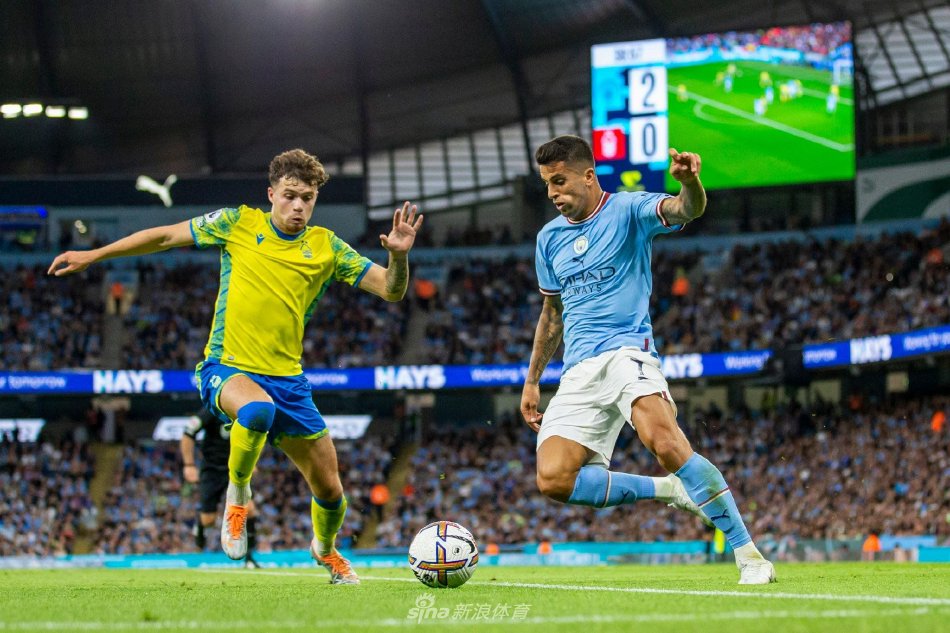 都有少年成 都有少年成